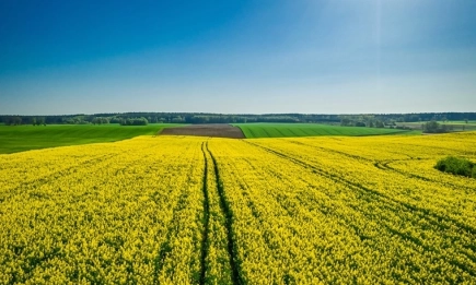 Технологията Азот Мастър на Лидеа – интелигентно управление на торенето