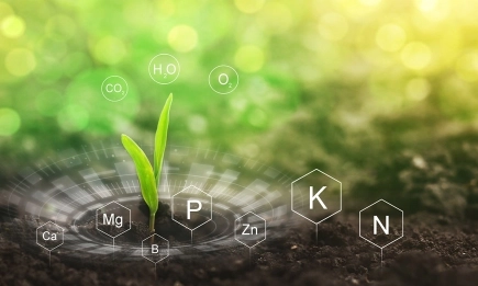 Гъвкави решения за торене от КВС Агро България – от основно хранене до листно приложение