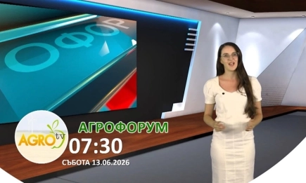 В АГРОФОРУМ: Дренажът – решение срещу преовлажняването на полетата
