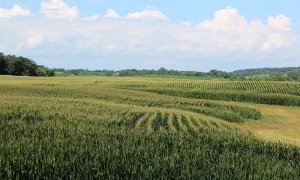 Сухо и горещо, с опасност от градушки