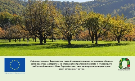 ДФЗ преведе над 6.3 милиона евро на 5 251 фермери по екосхемата за трайни насаждения