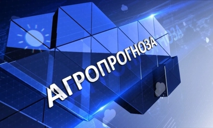 Седмична агрометеорологична прогноза за периода 20.09 - 26.09.2024 г.