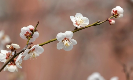 Повишаване на температурите и валежи