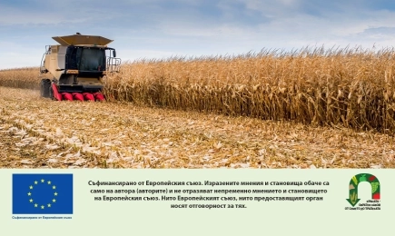 Евродепутатите одобриха опростяването на ОСП