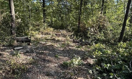 Засилен контрол и над 260 000 проверки от ИАГ за изминалите девет месеца на 2025 г.