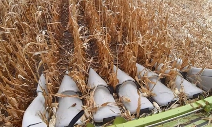 Русия очаква 132 млн. тона зърно