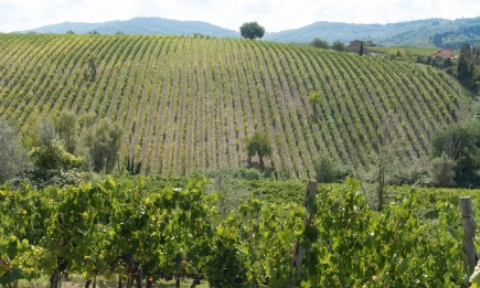 МЗХ подготвя ясна бюджетна рамка за по-голяма предвидимост в земеделския сектор