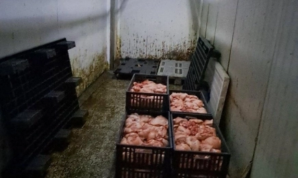 БАБХ затвори месокомбинат в Свищов: Унищожават над 10 тона опасни месни продукти