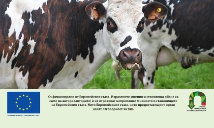 ДФЗ изплати над 7,6 млн. евро на 529 биоживотновъди по Еко – БЖ за Кампания 2025