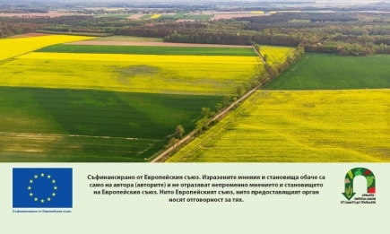 17 евро на хектар по екосхемата за зелено торене и органично наторяване