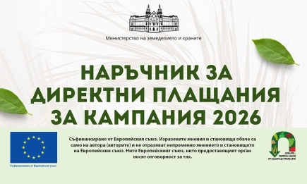 Пълен Наръчник за директни плащания 2026: Всички правила на едно място