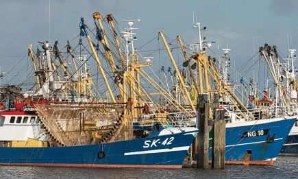 Кораби от ЕС ще ловят във водите на Кабо Верде