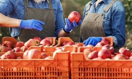 Цветан Цеков: Законът за веригата на доставки на земеделски продукти ще покаже кой точно спекулира с цените