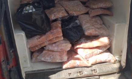 Над 600 кг незаконна храна са иззети от автомобил в Свиленград