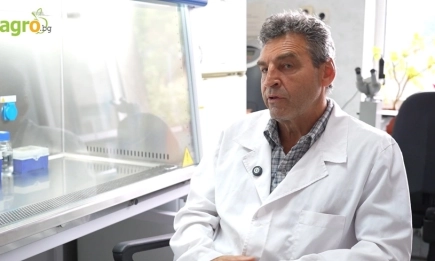 Синият език – скритата заплаха от кръвосмучещи насекоми