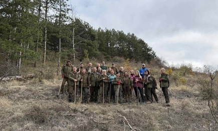 Служители на ИАГ извършиха отглеждане на залесена площ в землището на село Локорско