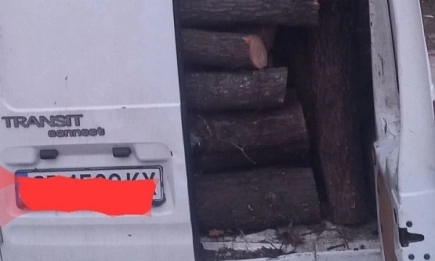 Нови случаи на незаконна дървесина в Ихтиман: Горски инспектори задържаха автомобили и системни нарушители