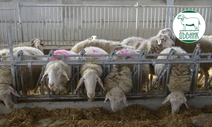 Био овцеферма Долни Дъбник дебютира на Международните хранителни изложения 2025