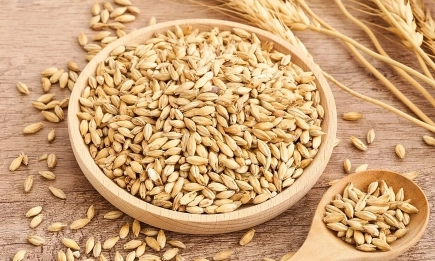 При днешната предборсова търговия в Чикаго основните контракти са на загуба