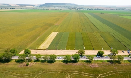 Всичко е Лидеа в стопанството на Бехчет Маджар