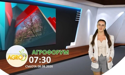 В АГРОФОРУМ: Защо Александър Сотиров залага на консервационното земеделие?