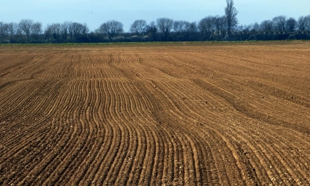 ЕП прие нови правила за мониторинг на почвите