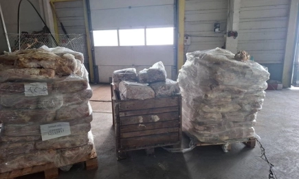 БАБХ разкри сериозни нарушения в месопреработвателно предприятие – унищожават близо 6 тона храни