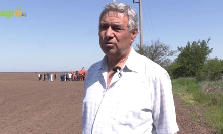 Земеделец от Северозападна България: С пшеница по-евтина от баничка – как да оцелеем?