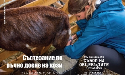 Атрактивни фермерски състезания и нова надпревара по доене на кози на Националния събор на овцевъдите 2026