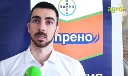 Каюнис® - физиологичният фунгицид с широк спектър на действие при пшеница