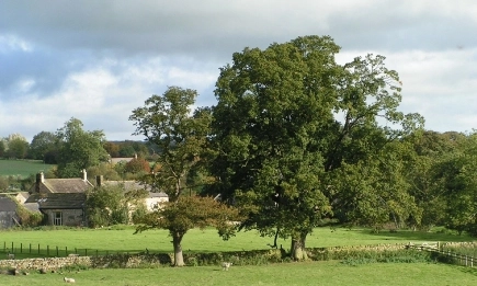 ЕС обяви финалистите за отличията за биоземеделие