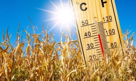 Августовската суша продължава