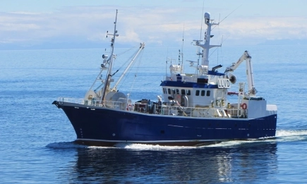 Влиза в сила забраната за риболов през 2026 г.: Всичко, което трябва да знаете