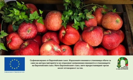 Удължават се сроковете за кандидатстване по две интервенции за преработка на селскостопански продукти