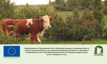 ЕС затяга контрола срещу антимикробната резистентност