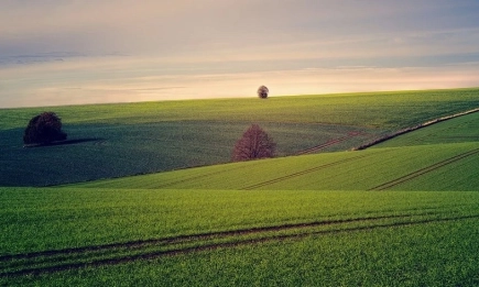 Топло за сезона време, но зимата ще ни изненада