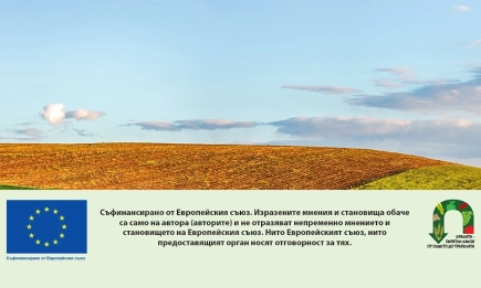 Нови опростени правила за използване на средства от ЕС с регламент Омнибус