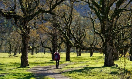20 мин. на ден сред природата подобряват значително човешкото здраве