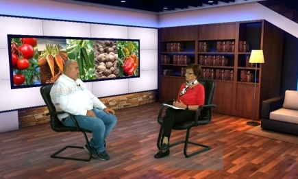 Европейската сметна палата: Трябва да се удвои темпът на биоземеделието в Европа