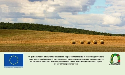 ДФЗ обяви готовност за старт на Кампания 2026 по директни плащания