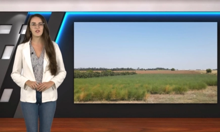 В АГРОФОРУМ: Пет години търпение: Как млад фермер инвестира в екзотичната култура аспержи