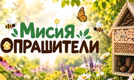 Мисия Опрашители: В София изграждат мрежа от хотели за насекоми в подкрепа на биоразнообразието 