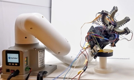 Американски мек робот разпознава зрелост на ягоди и ги бере без повреди