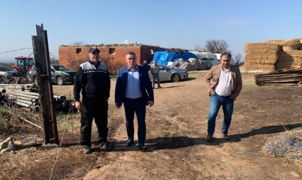 Министър Тахов: Пострадалите от пожари земеделски стопани са компенсирани с 225 000 лева държавна помощ