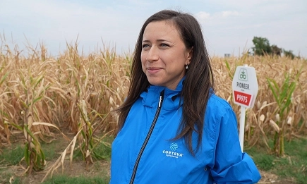 Нови царевични хибриди за сезон 2026 от Кортева