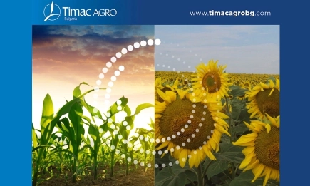 Пролетници - предизвикателства и възможности