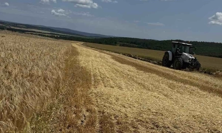 Резултати от жътвата: Добивите и качеството са лоши