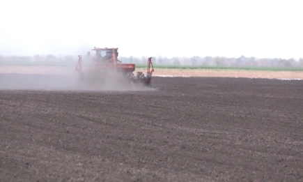 Торовете вече влизат в списъка на стоките с висок фискален риск