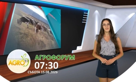 В АГРОФОРУМ: Има ли риск от изчерпване на бюджета за биорастениевъдство? 