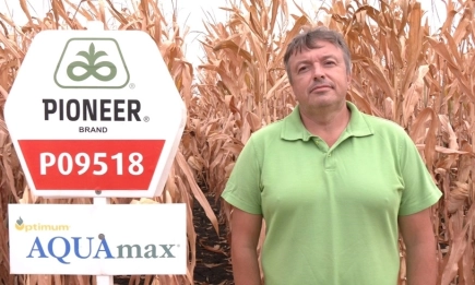 Кортева представя Р09518: мощен хибрид за зърно и силаж